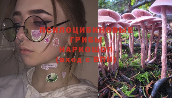 МДПВ Вязьма