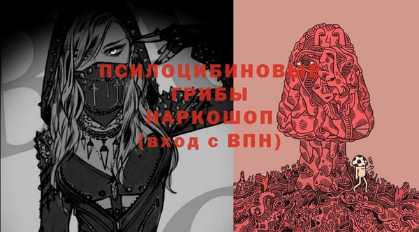 МДПВ Вязьма
