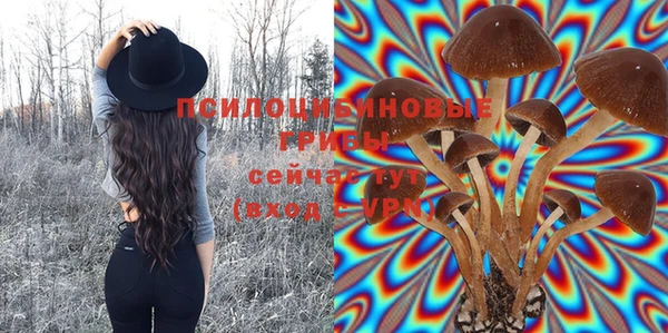 МДПВ Вязьма