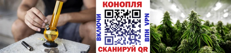 Канабис семена  Дивногорск 